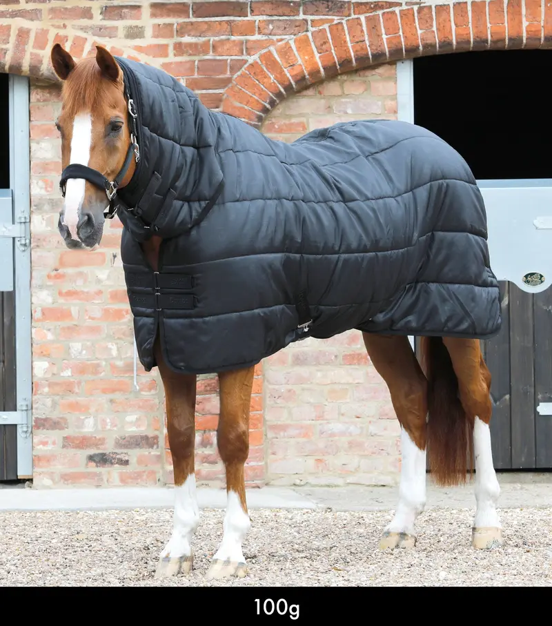 100G Combo Horse Rug Liner 1