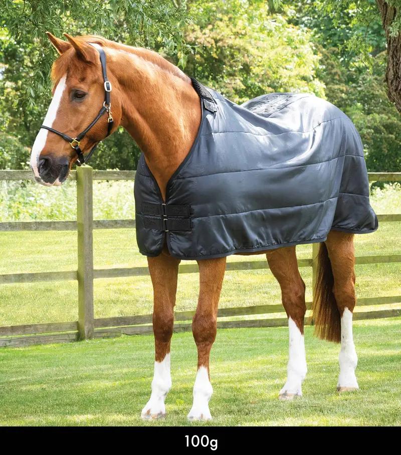 100G Horse Rug Liner 1