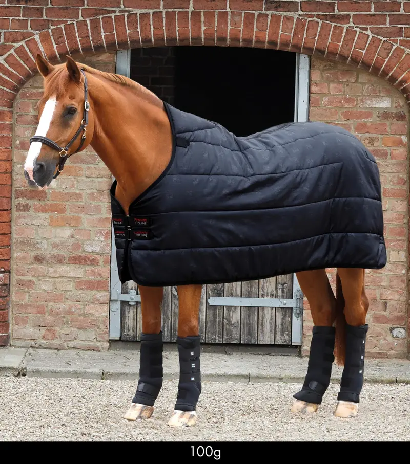 100G Lucanta Rug Liner 1