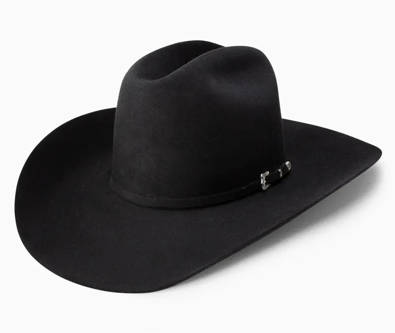 20X Black Gold Resistol Felt Hat 1