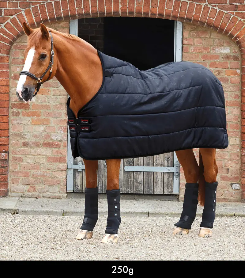250G Lucanta Rug Liner 1