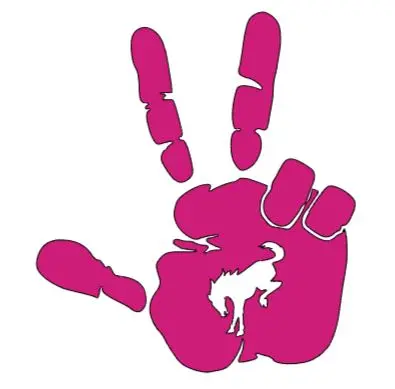 2X Ford Bronco 3 Finger Hand Wave Vinyl Decal Sticker Multiple Colors Available 9