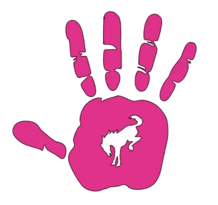 2X Ford Bronco Hand Wave Vinyl Decal Sticker Multiple Colors Available 9