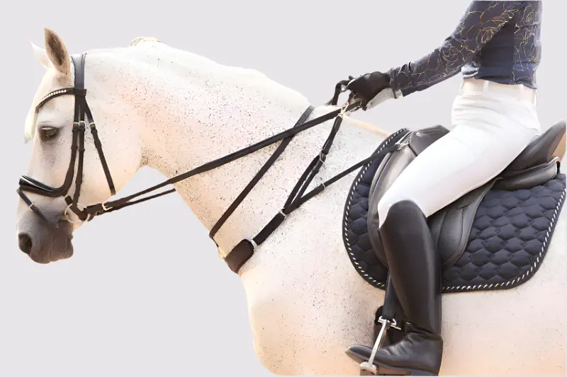 3-In-1 Training Breastplate 1