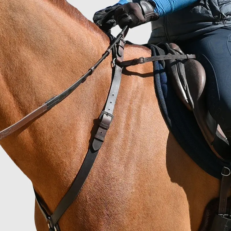 3-Point Breastplate With Double Neck Strap 1