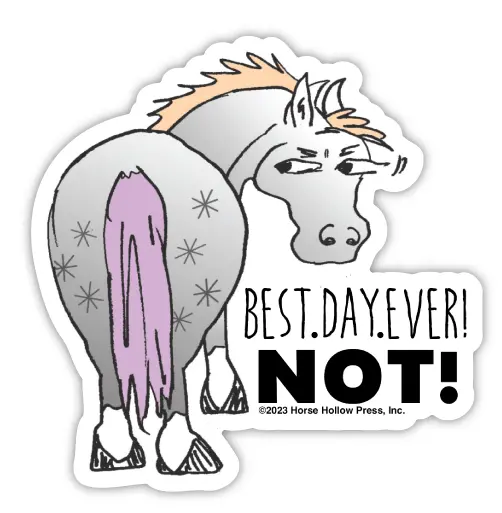 3" Tumbler Horse Sticker / Best Day Ever Not / Waterproof 1