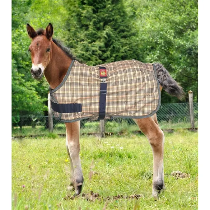 5/A Baker Foal Expand-O Blanket 1