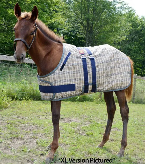 5/A Baker Foal Expand-O Blanket 3