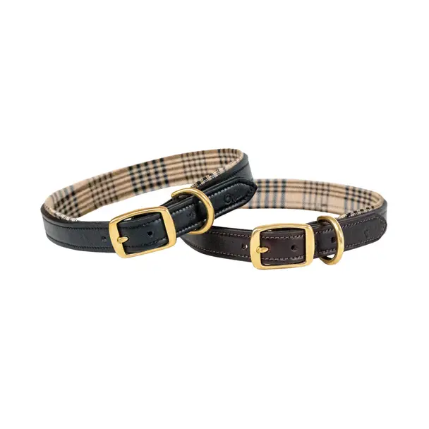 5/A Baker Leather Dog Collar 1