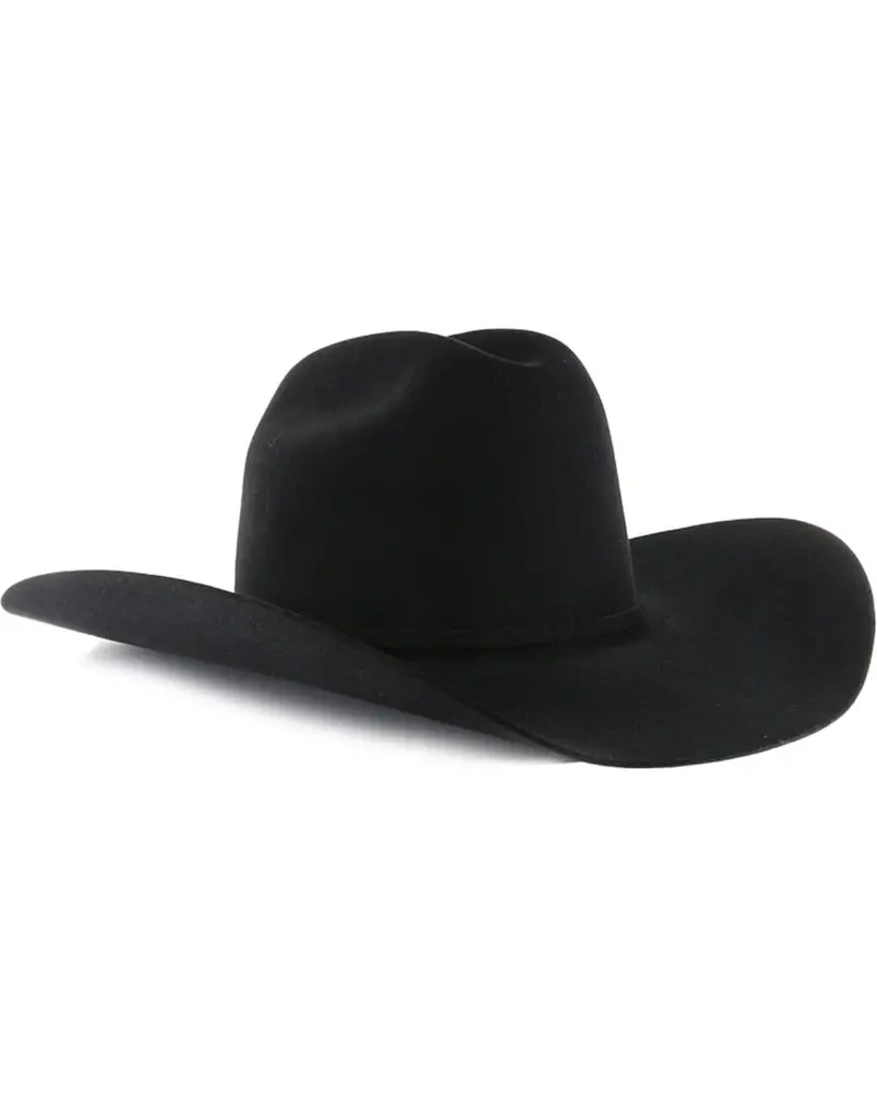 5X Rodeo King Felt 1