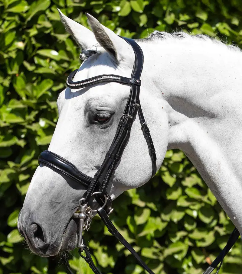 Abriano Anatomic Double Bridle Black 1