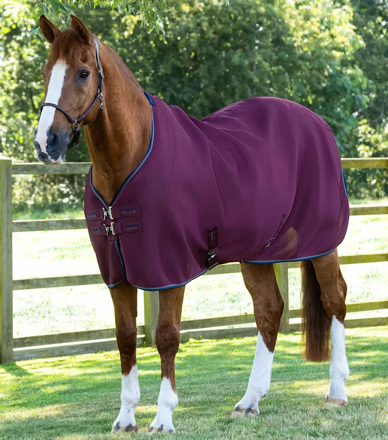 Airflow Cooler Rug Burgundy 1