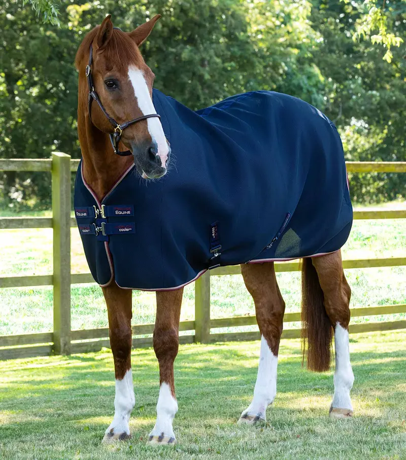 Airflow Cooler Rug Navy 1