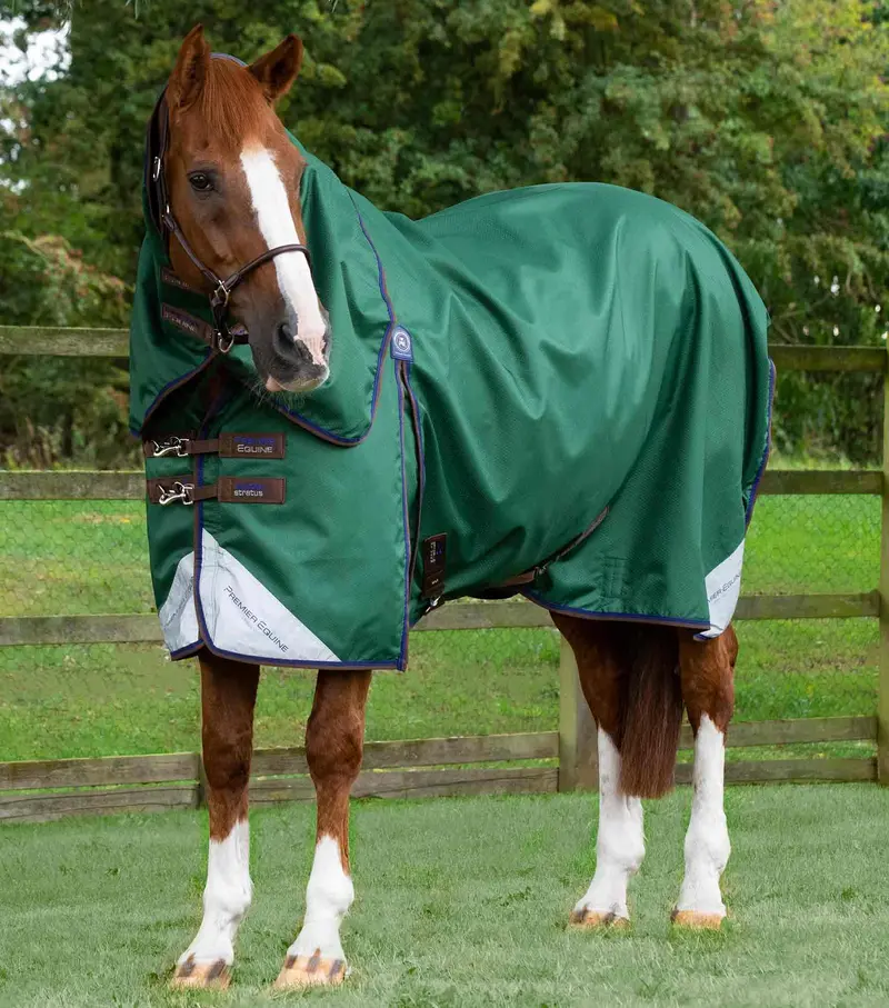 Akoni 0G Turnout Rug With Classic Neck Cover Green 1