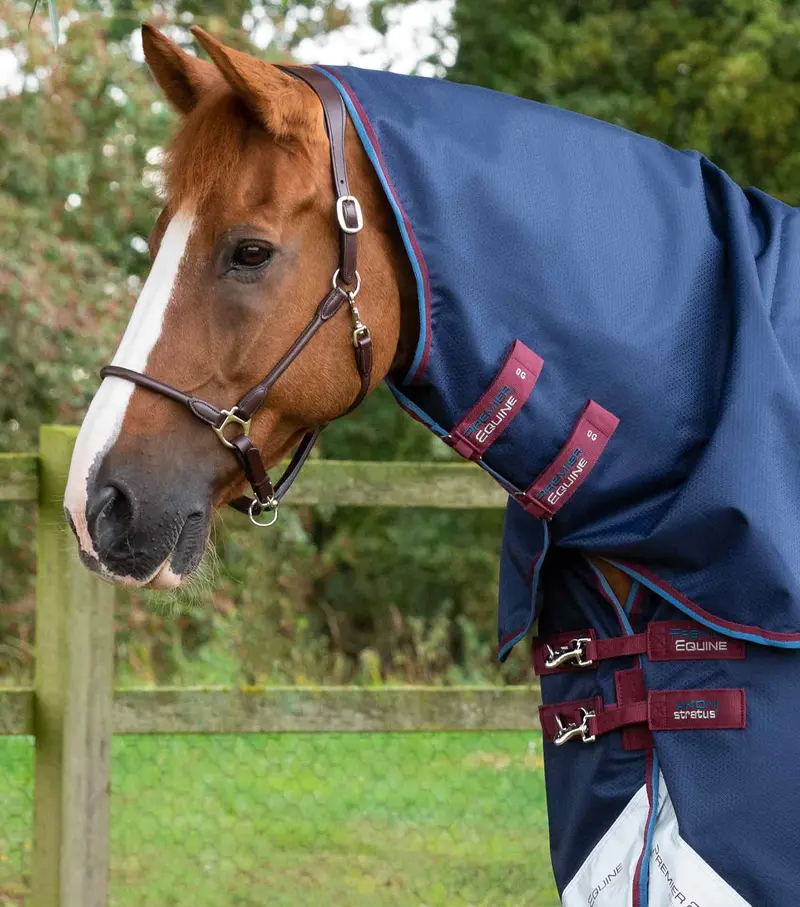 Akoni 0G Turnout Rug With Classic Neck Cover Navy 2