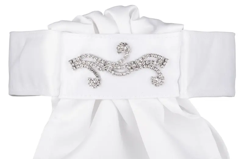All Tied Up Stock Tie - The Glenn #41 1