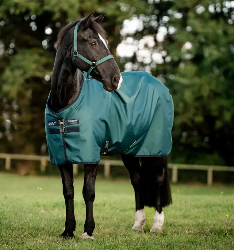 Amigo Ripstop 900D Pony Turnout 1