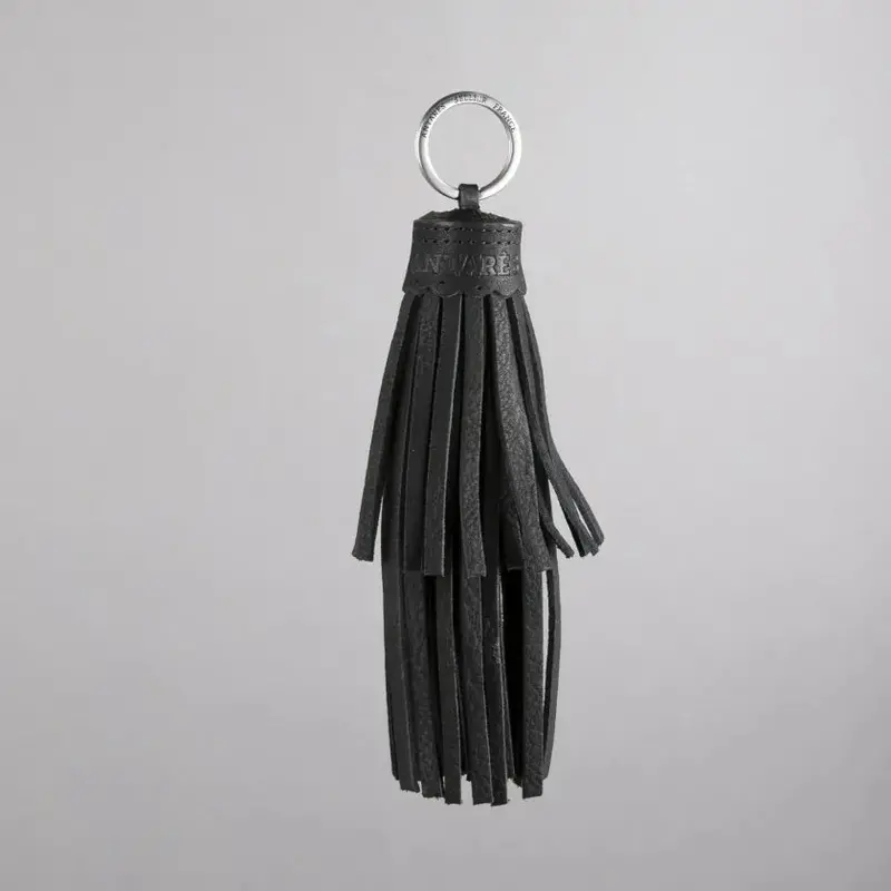 Antares Key Ring 2