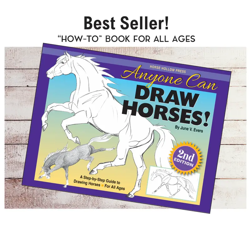 Anyone Can Draw Horses Art Book 1
