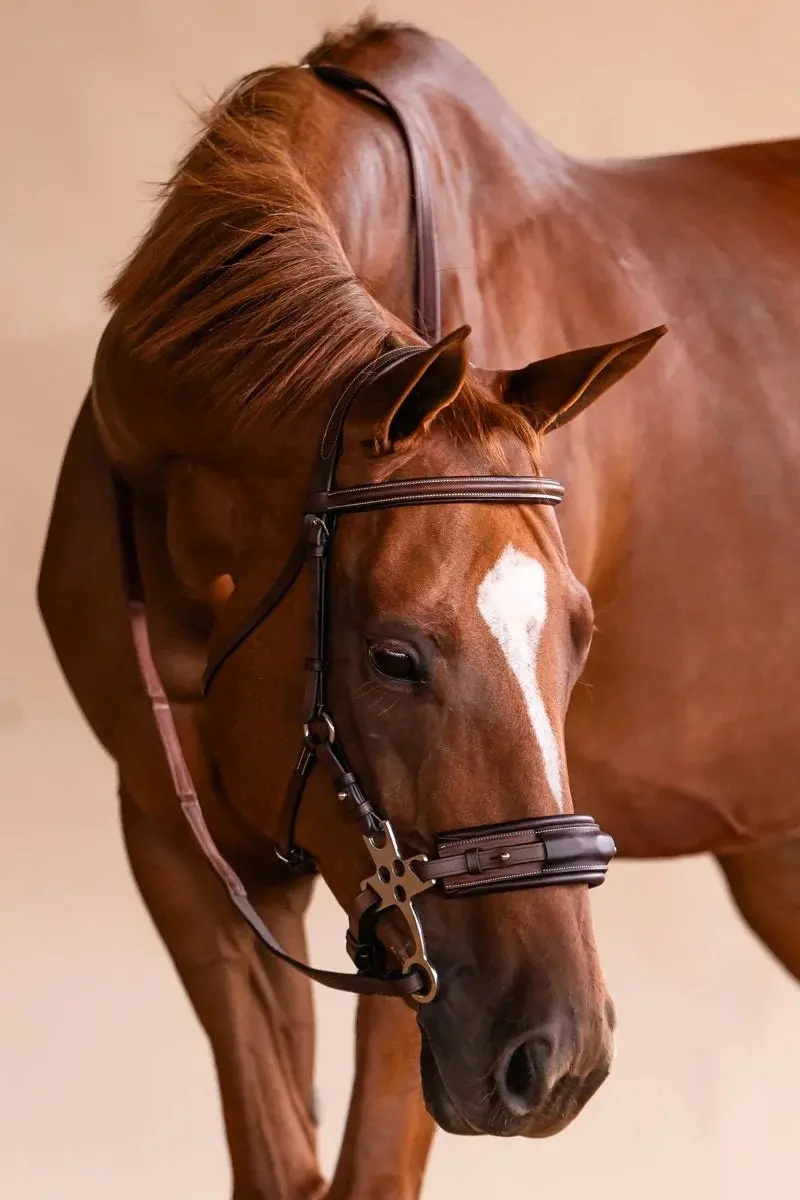 Arc De Triomphe® Hackamore Bridle 1