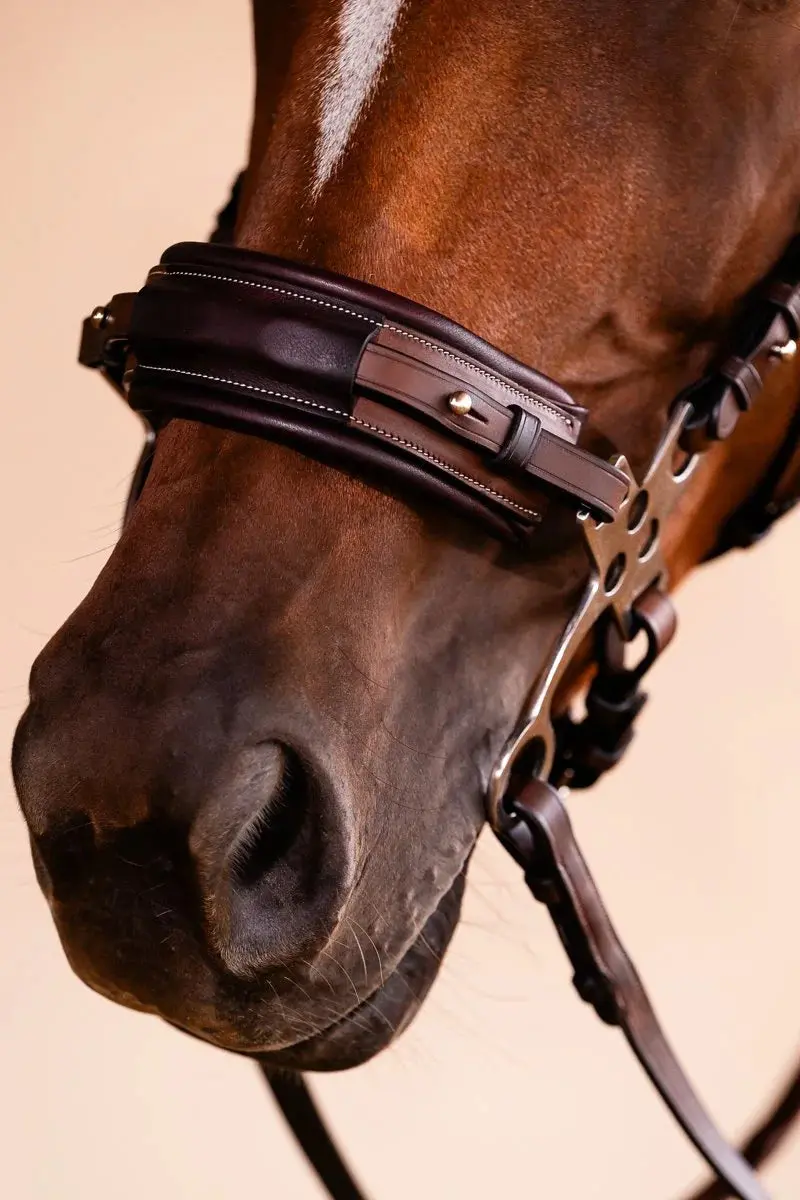 Arc De Triomphe® Hackamore Bridle 2