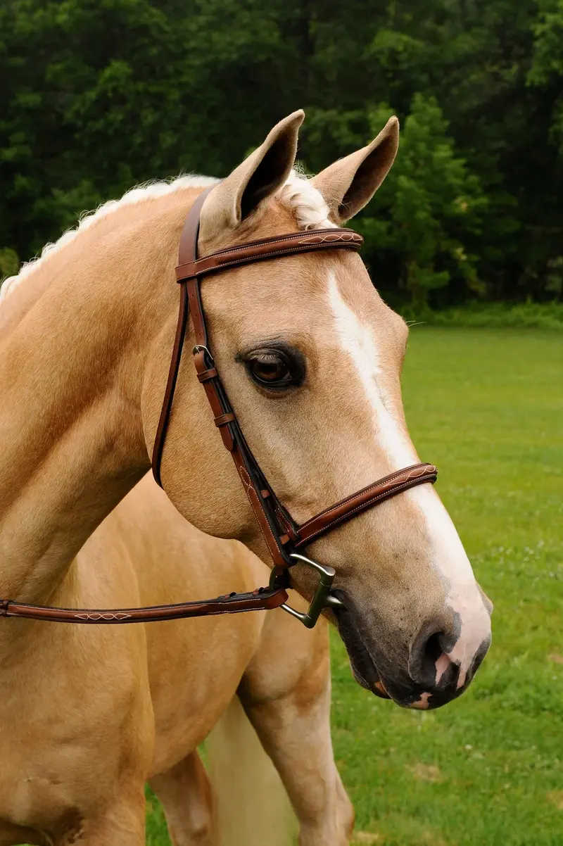 Arc De Triomphe® Imperial Bridle W/ Laced Fancy Reins 1