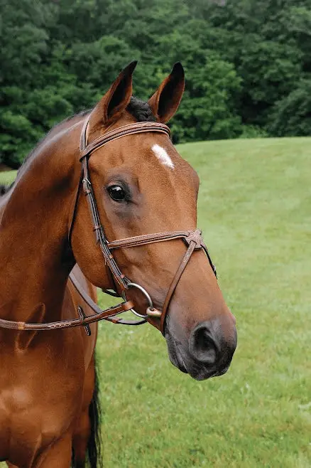 Arc De Triomphe® Imperial Figure 8 Bridle W/ Rubber Reins 1