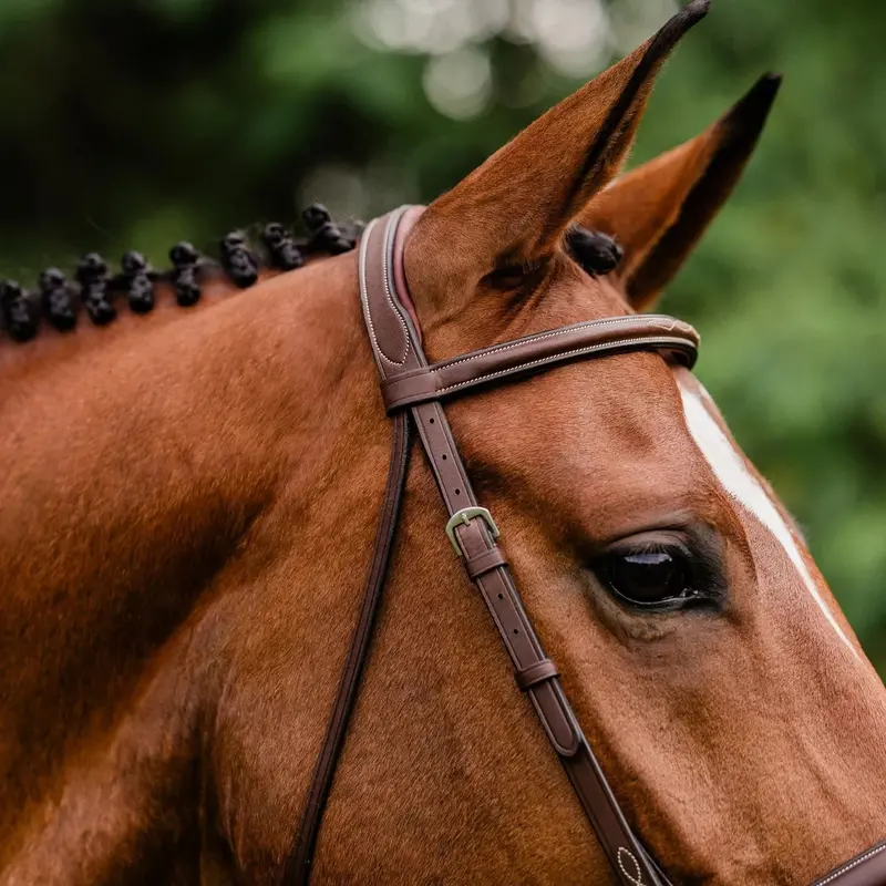 Arc De Triomphe®  Stealth Tribute Bridle W/ Raised Fancy Stitched Laced Reins 1