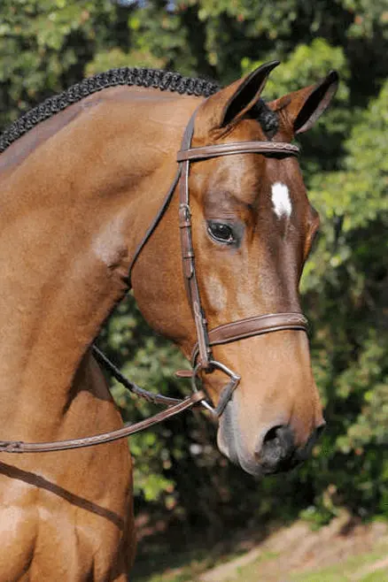Arc De Triomphe® Tribute Hunter Bridle With Raised Fancy Laced Reins 1