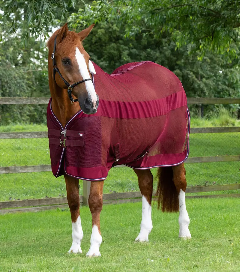Arisca Scrim Cooler Burgundy 1