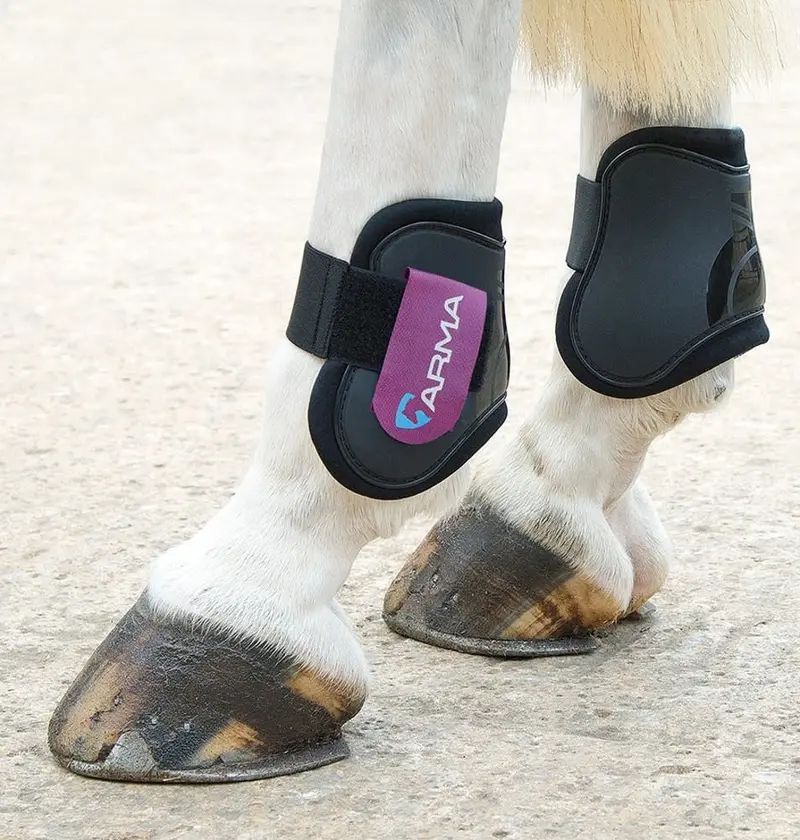 Arma Fetlock Boots 1