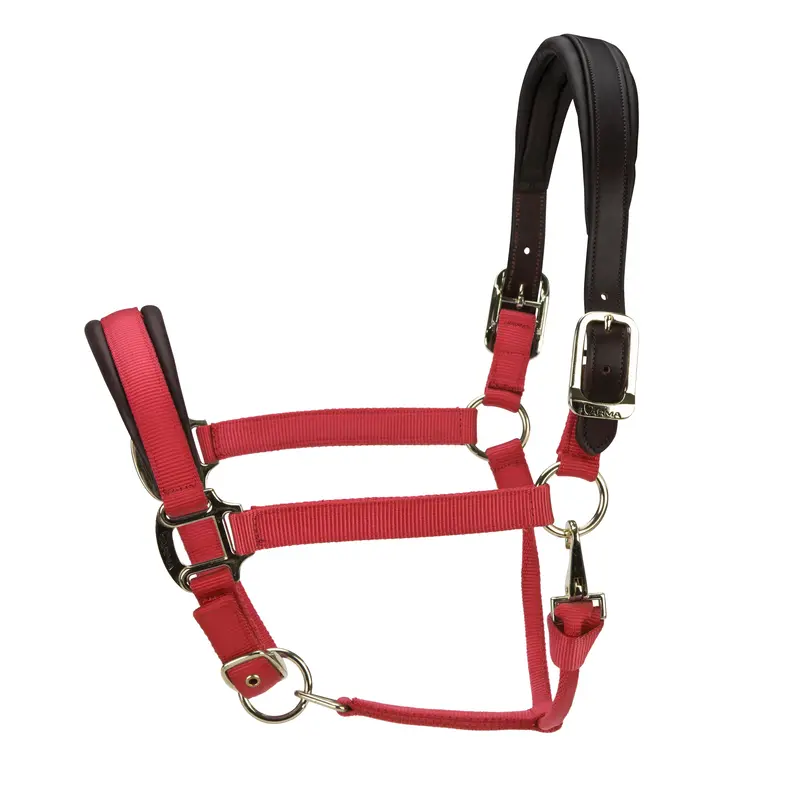 Arma Premium Nylon Halter With Leather Padding 1