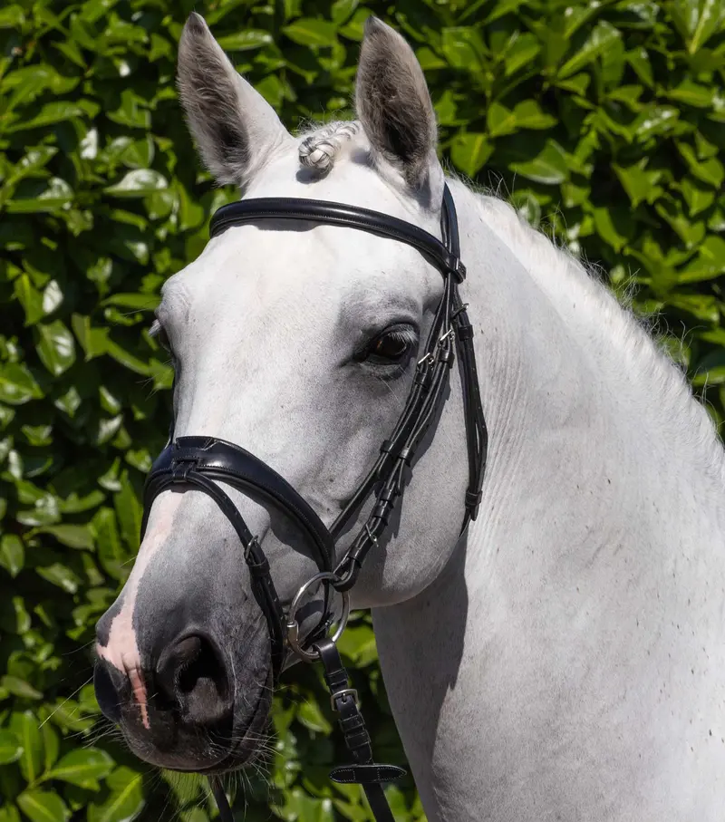 Artana Snaffle Bridle Black 1