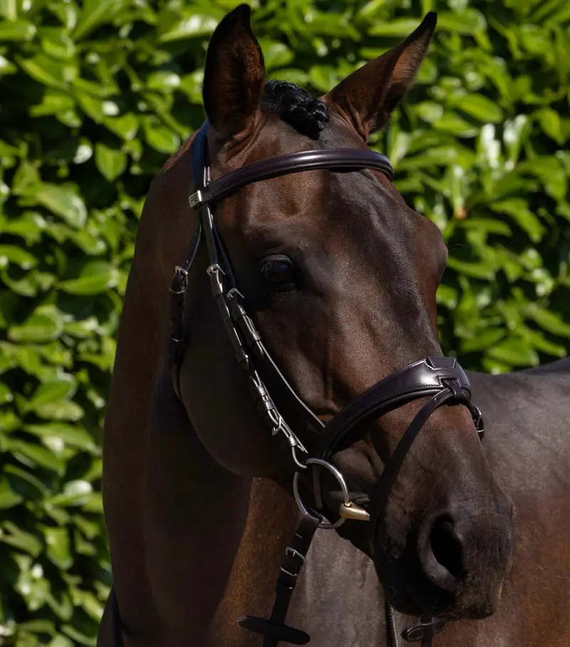 Artana Snaffle Bridle Brown 1