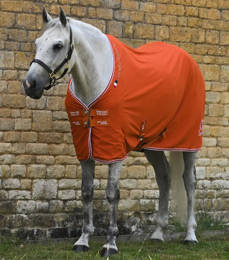 Atlas Horse Cooler Rug Burnt Orange 1