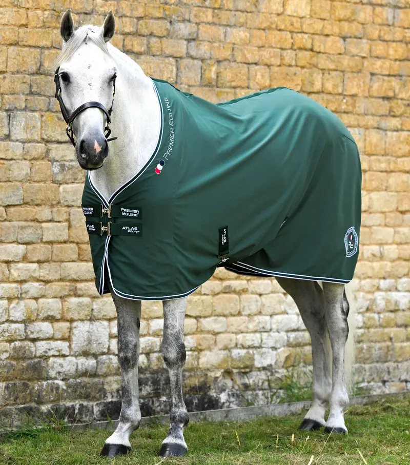 Atlas Horse Cooler Rug Green 1