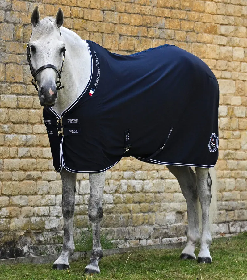 Atlas Horse Cooler Rug Navy 1