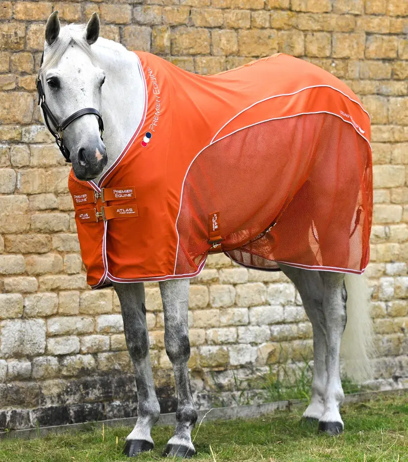 Atlas Mesh Horse Cooler Rug Burnt Orange 1