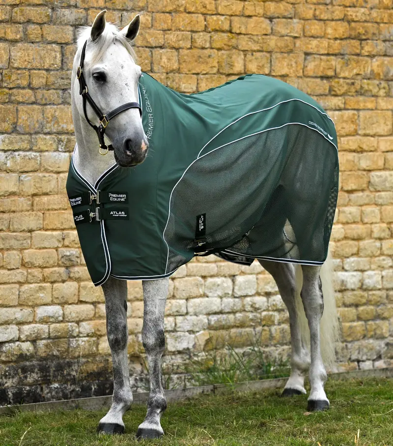Atlas Mesh Horse Cooler Rug Green 1