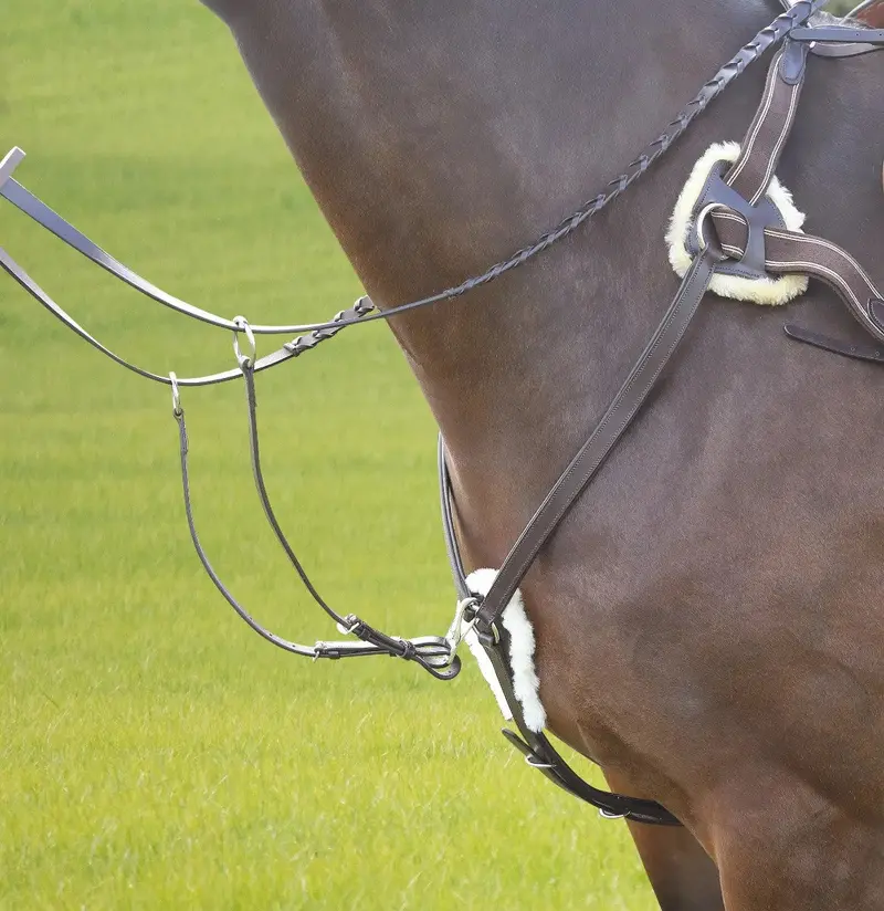 Avignon 5 Point Breastplate 1