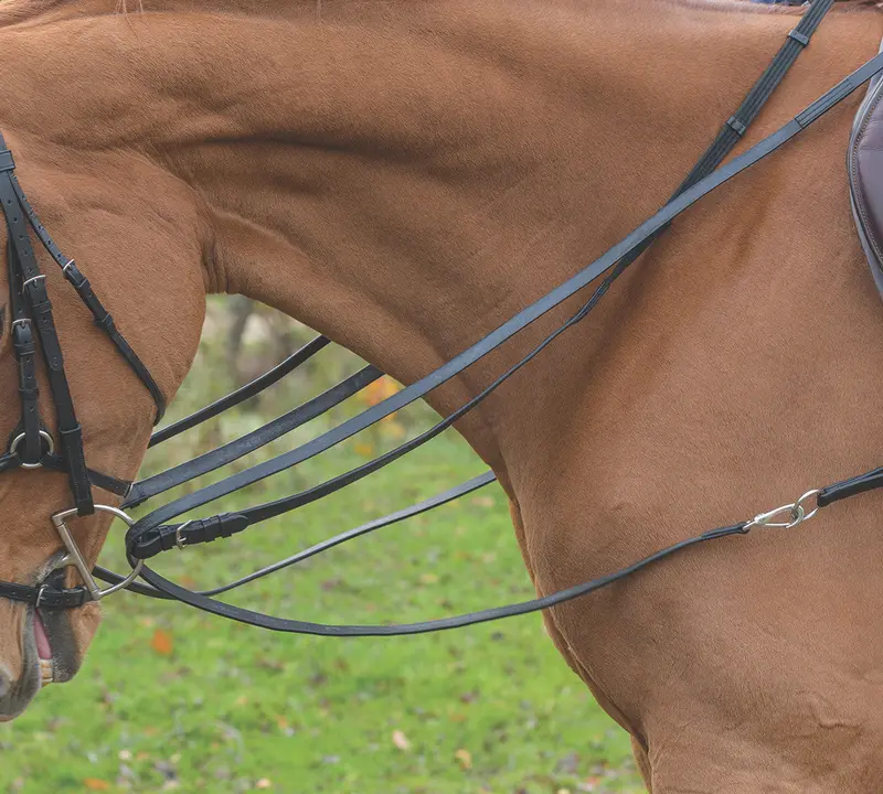 Avignon Leather Draw Reins 1