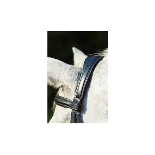 Avignon Louisville Bridle 3