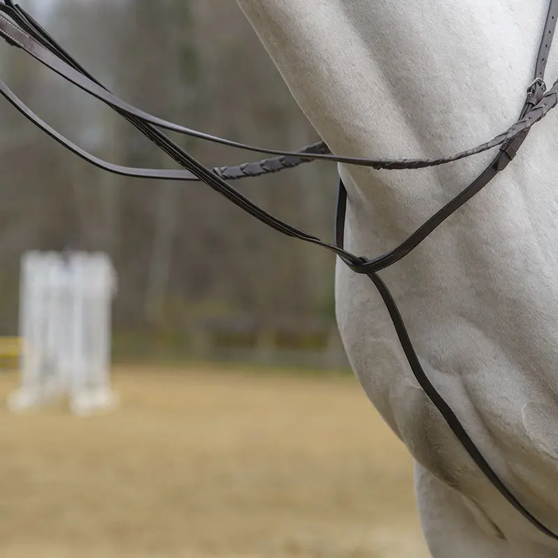 Avignon Standing Martingale 1