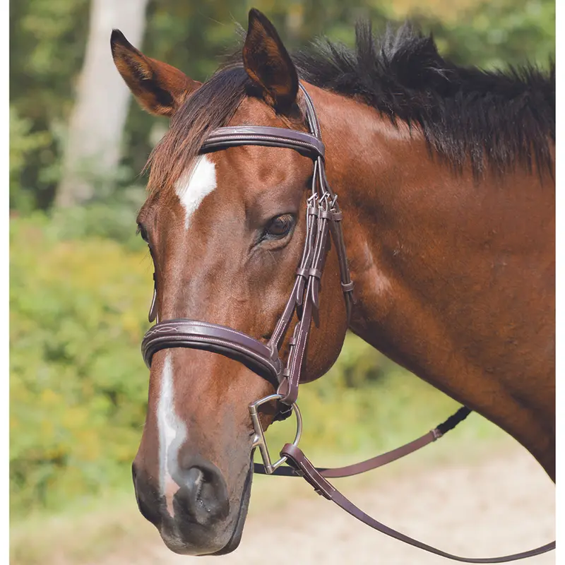 Avignon Wellington Bridle 1