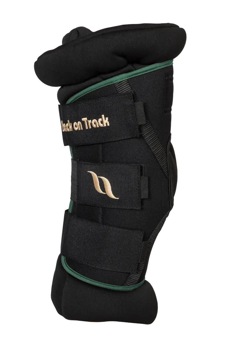 Back on Track Deluxe Hock Wraps – Pair