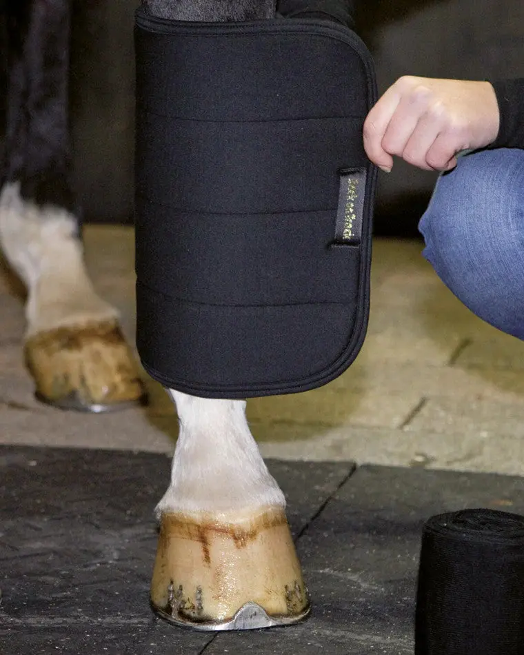 Back On Track No Bow Leg Wraps 3