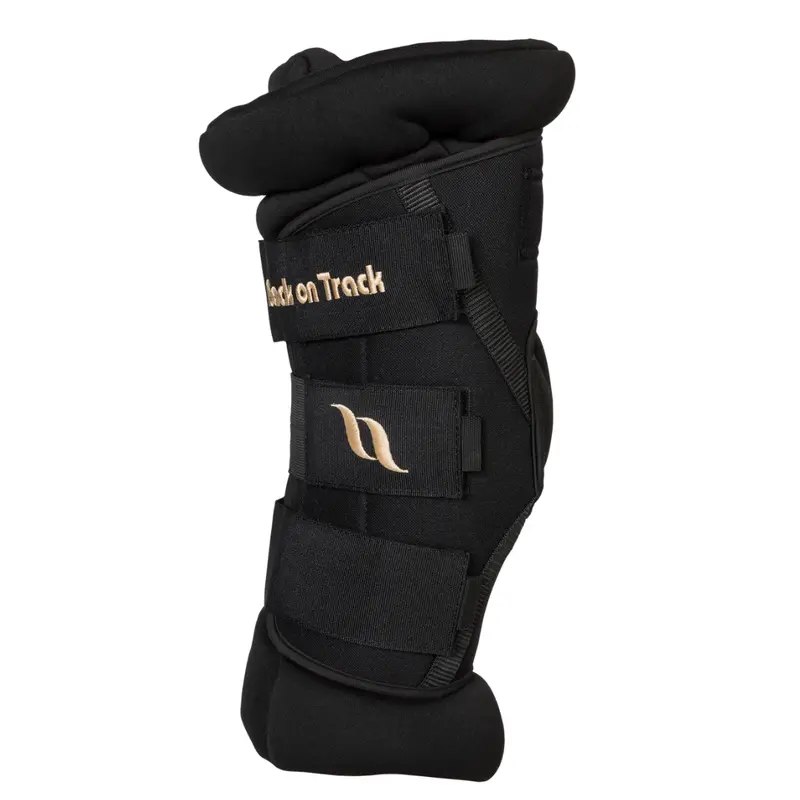Back On Track Royal Padded Hock Boots Deluxe 1
