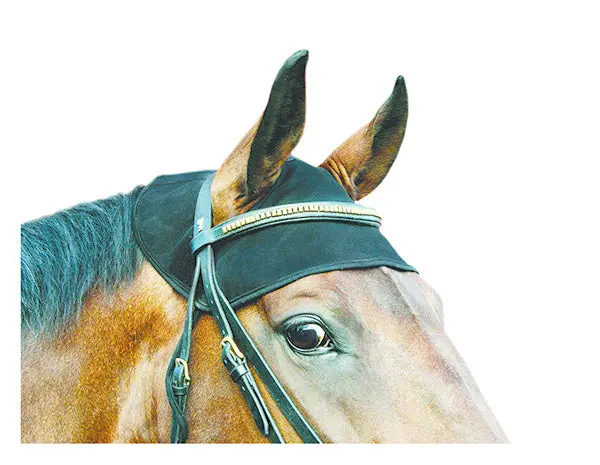 Back On Track Therapeutic Horse Cap 1
