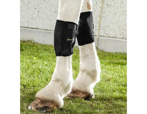 Back On Track Therapeutic Knee Boots 1