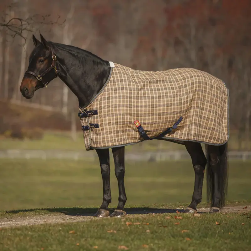 Baker Deluxe Stable Sheet 1
